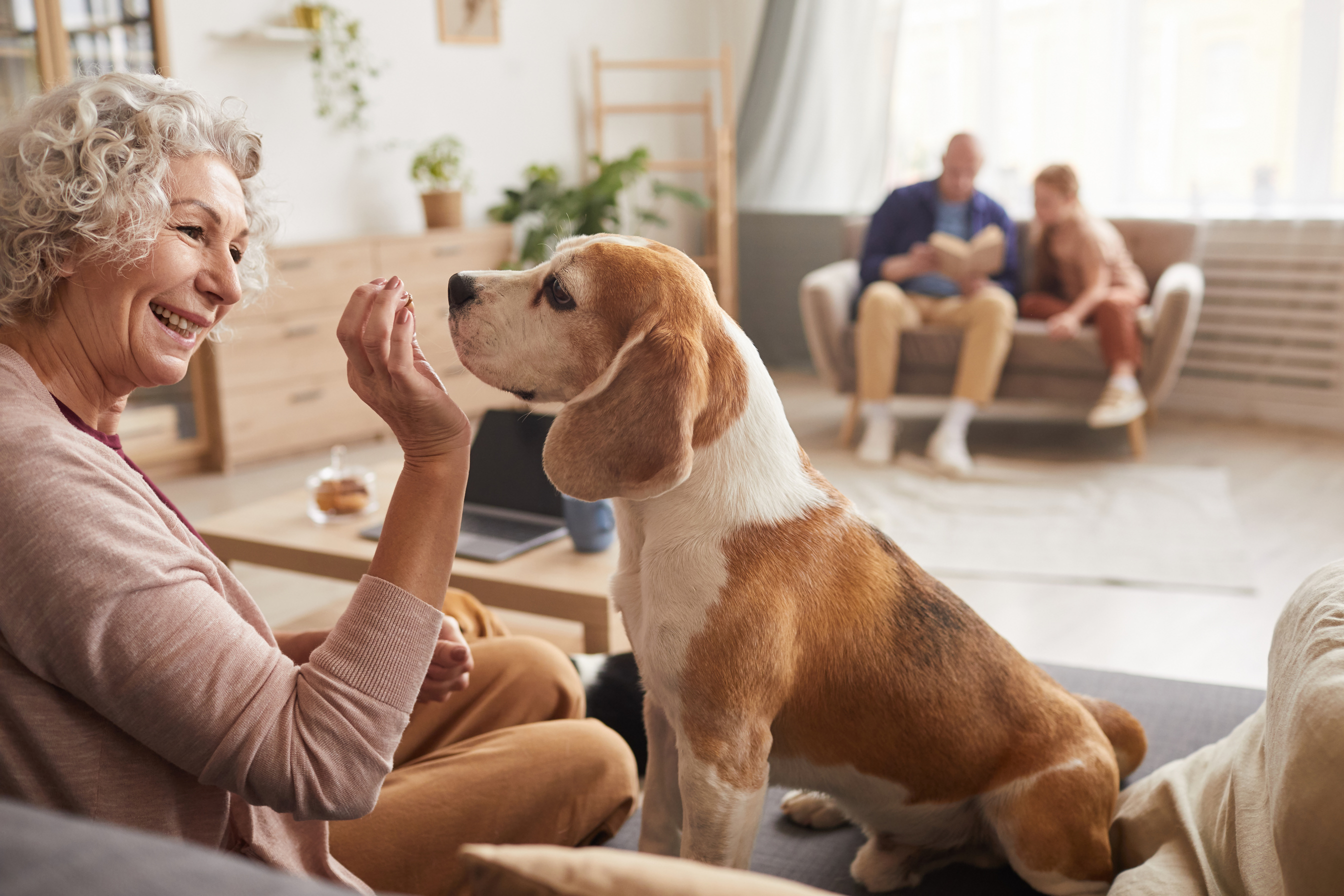 Senior Woman Playing with Family Pet